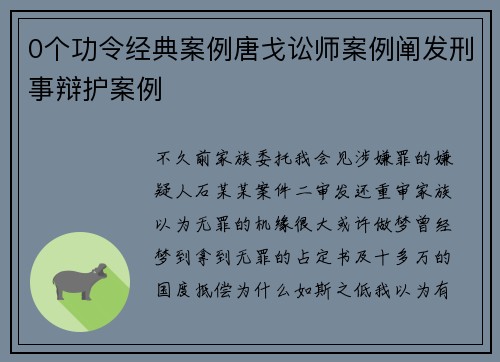 0个功令经典案例唐戈讼师案例阐发刑事辩护案例